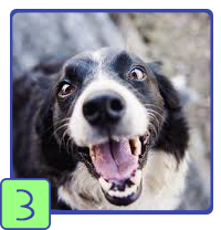 Step - 3